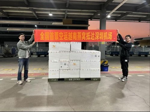 繼越南榴蓮在中國熱賣后,首批越南燕窩又來了,今年春節國人有口福了