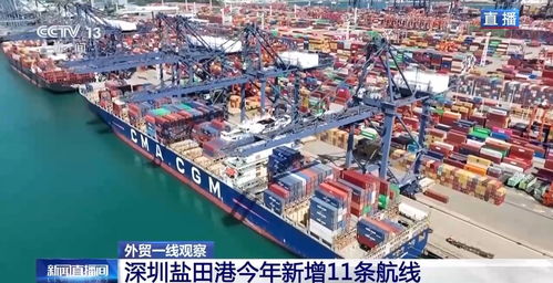 平均每天10班船駛向歐美 從深圳鹽田港看中國外貿 加速度