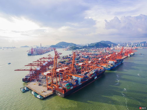 突破1100萬標箱 深圳西部港區2020年吞吐量再創新高