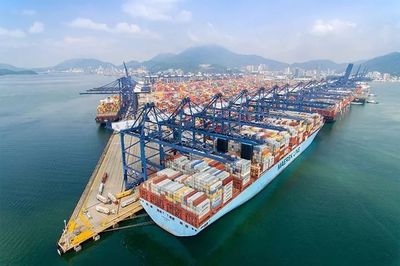 萬商云集的進博會 深圳貿易的“軟”環境搭建與促進交流