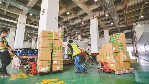 深圳創新型貿易業態崛起 宅經濟催動跨境電商持續增長