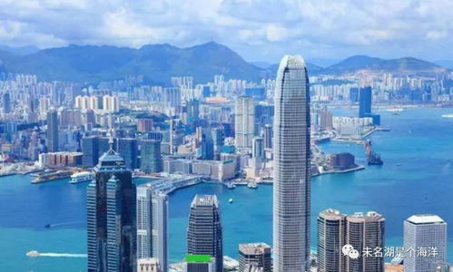 失落與驕傲 張毅的香港與深圳貿易片段